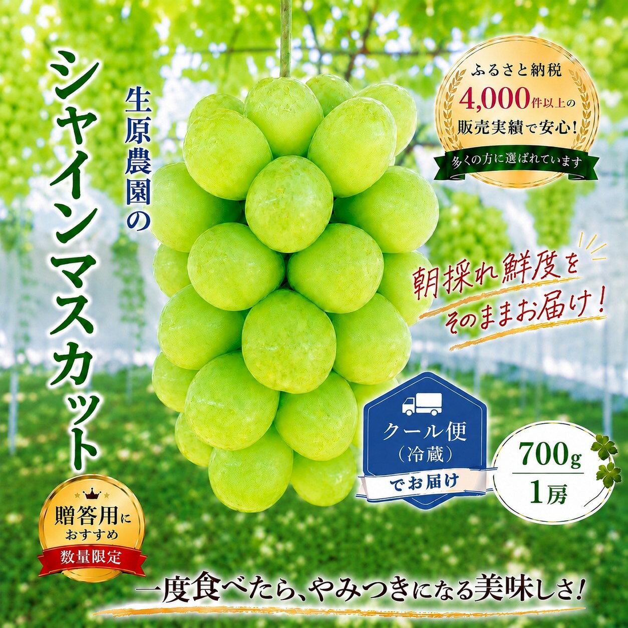 【ふるさと納税】【期間限定】【2026先行予約】フルーツ王国笛吹市のシャインマスカット【選べる700g~2kg】【期間限定】 ふるさと納税 シャインマスカット 笛吹市 国産 人気 期間限定 ぶどう ブドウ 葡萄 プレゼント 旬 果物 フルーツ 山梨県 送料無料 137-001