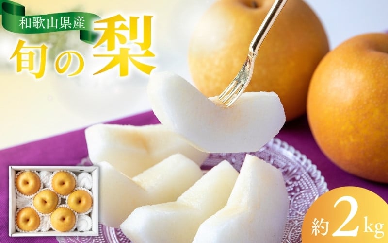 
            【先行予約受付】和歌山県産の美味しい梨 約2kg （6～8玉入り）【2025年8月中旬頃から順次発送予定】【mat103A】
          