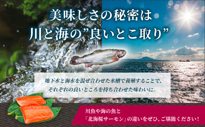 「陸上養殖」 北海桜サーモン ブロック 400g 北海道 松前町 ふるさと納税