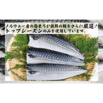 ふるさと納税 銚子市 一汐さば　8kg |  | 03