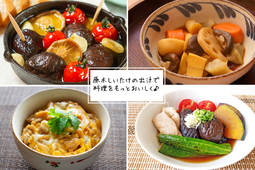 宮崎県産 乾燥 椎茸 40g×1袋 チャック袋入 [ HUTTE 宮崎県 美郷町 31ao0011] 干ししいたけ 出汁 オーガニック 原木栽培 有機JAS認証 料理 調理 小分け 常温 渡川 アヒー