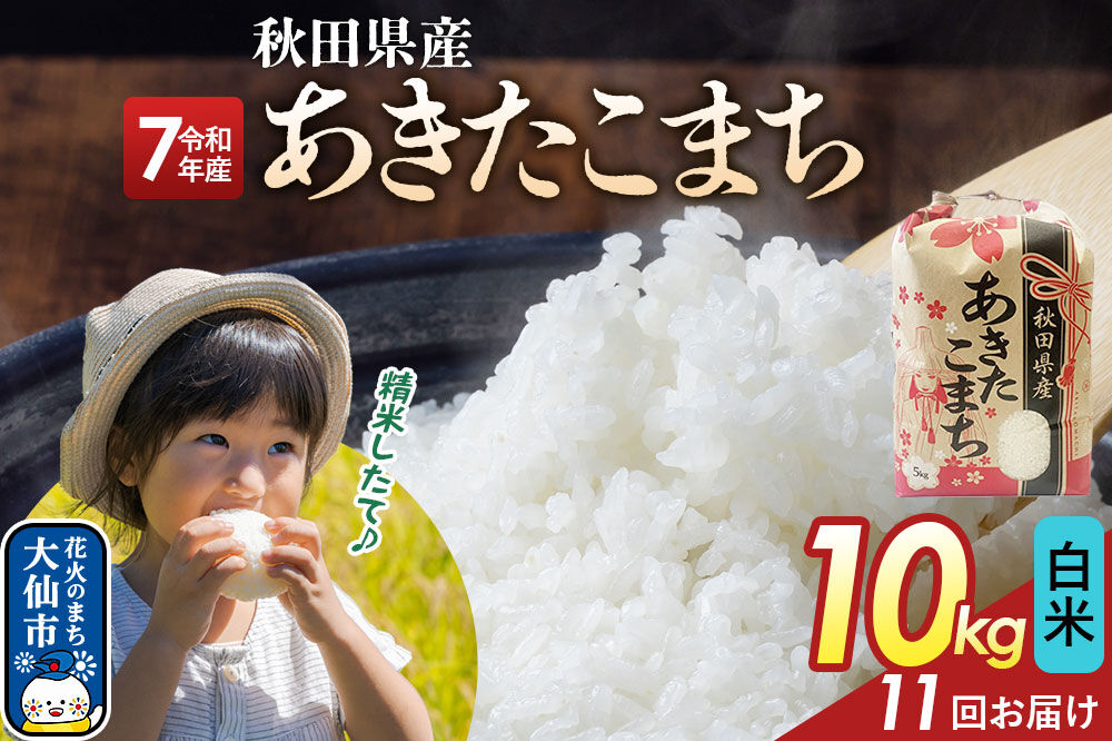 《定期便11ヶ月》【白米】あきたこまち 10kg（5kg×2） 秋田県産 令和7年産  こまちライン 秋田県 大仙市産 [秋田 お米 米どころ あきたこまち こまちライン]
