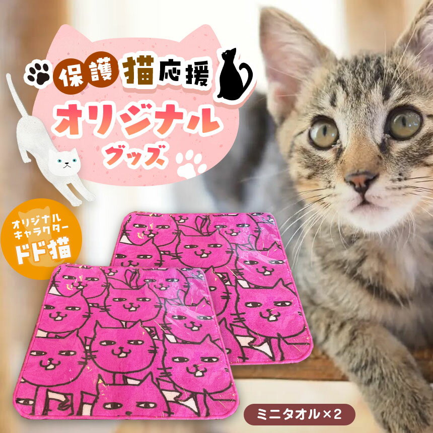 【ふるさと納税】 オリジナル　猫ミニタオル(2枚入り) | 猫 ミニタオル ミニ タオル 兵庫県 上郡町