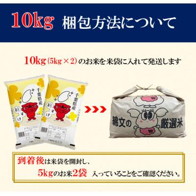 ふるさと納税 大網白里市 【令和6年産】千葉県産「粒すけ」精米 10kg(5kg×2袋) |  | 01