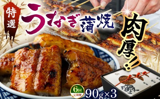 【偶数月定期6回】特選 蒲焼うなぎ(短冊)肉厚うなぎを炭火焼！| ふるさと納税 特選 蒲焼うなぎ 短冊 肉厚うなぎ炭 高級蒲焼 国産うなぎ 肉厚 炭火焼うなぎ 贅沢 肉厚うなぎ蒲焼特選 炭火焼うなぎ ギフト 栃木県 那珂川町 送料無料