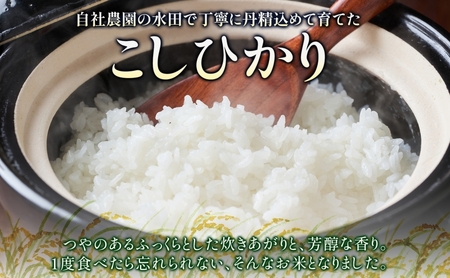 先行予約 R7年度産 新米 こしひかり 10kg  精米 コシヒカリ お米 白米 コメ 米 ライス 三穂田 鍋山地区 おにぎり 弁当 お取り寄せ 贈答 ギフト 常備 常温 尚楠 福島県 郡山市