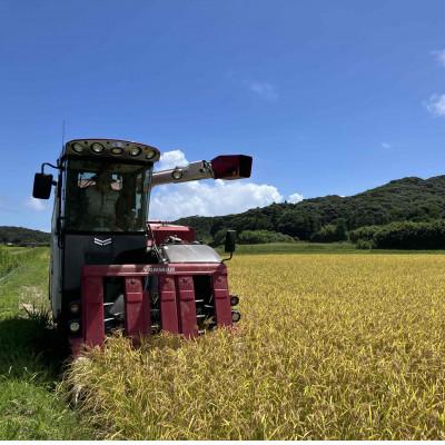 ふるさと納税 南種子町 令和7年産 鹿児島県産 ミルキークイーン(精米) 5kg |  | 02