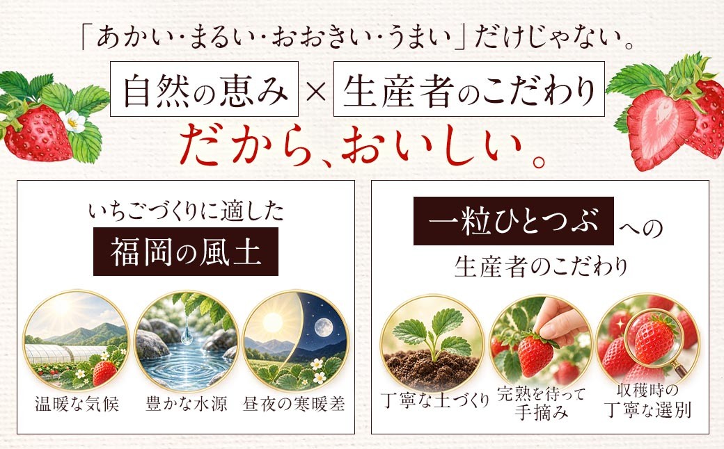 【2027年2月上旬-4月下旬発送予定】あまおう（グランデ等級以上）約250×4P