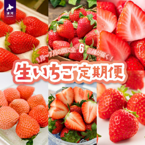 【来年1月より発送！】全6品種が届く！生いちご定期便(全6回)[13-1130]
