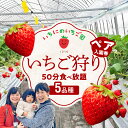 【ふるさと納税】苺 いちご狩り 5品種 食べ放題 50分 ペア 入園券 いちにのいちご園 大人 2名 さがほのか 紅ほっぺ とちおとめ おいCベリー はるひ 体験 フルーツ 旅行 宮崎県 延岡市 ストロベリー 果物 フルーツ狩り 予約制 期間限定