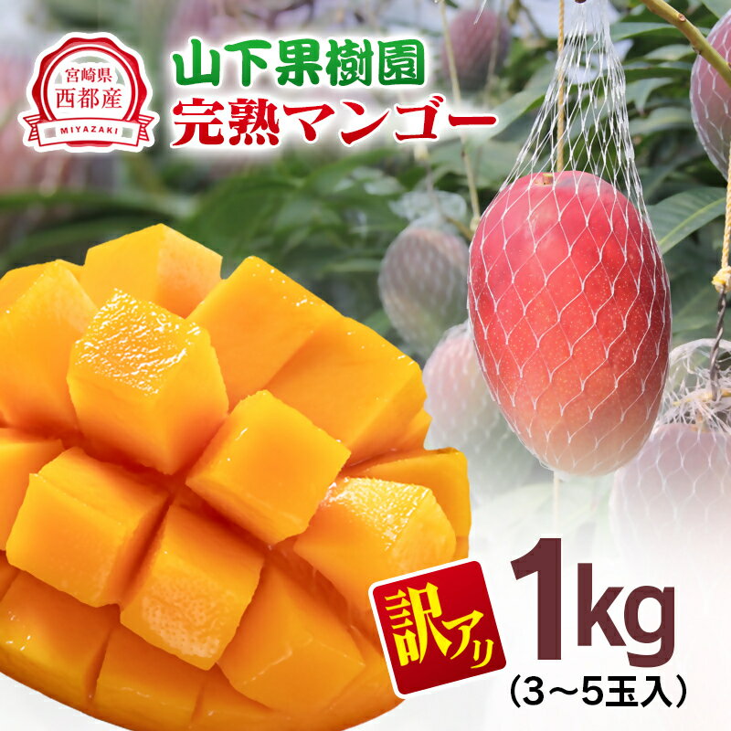 【ふるさと納税】山下果樹園 完熟マンゴー1kg「訳あり」3～5玉 宮崎県 西都産＜1.5-25＞【先行予約】令和7年収穫分 果物 フルーツ