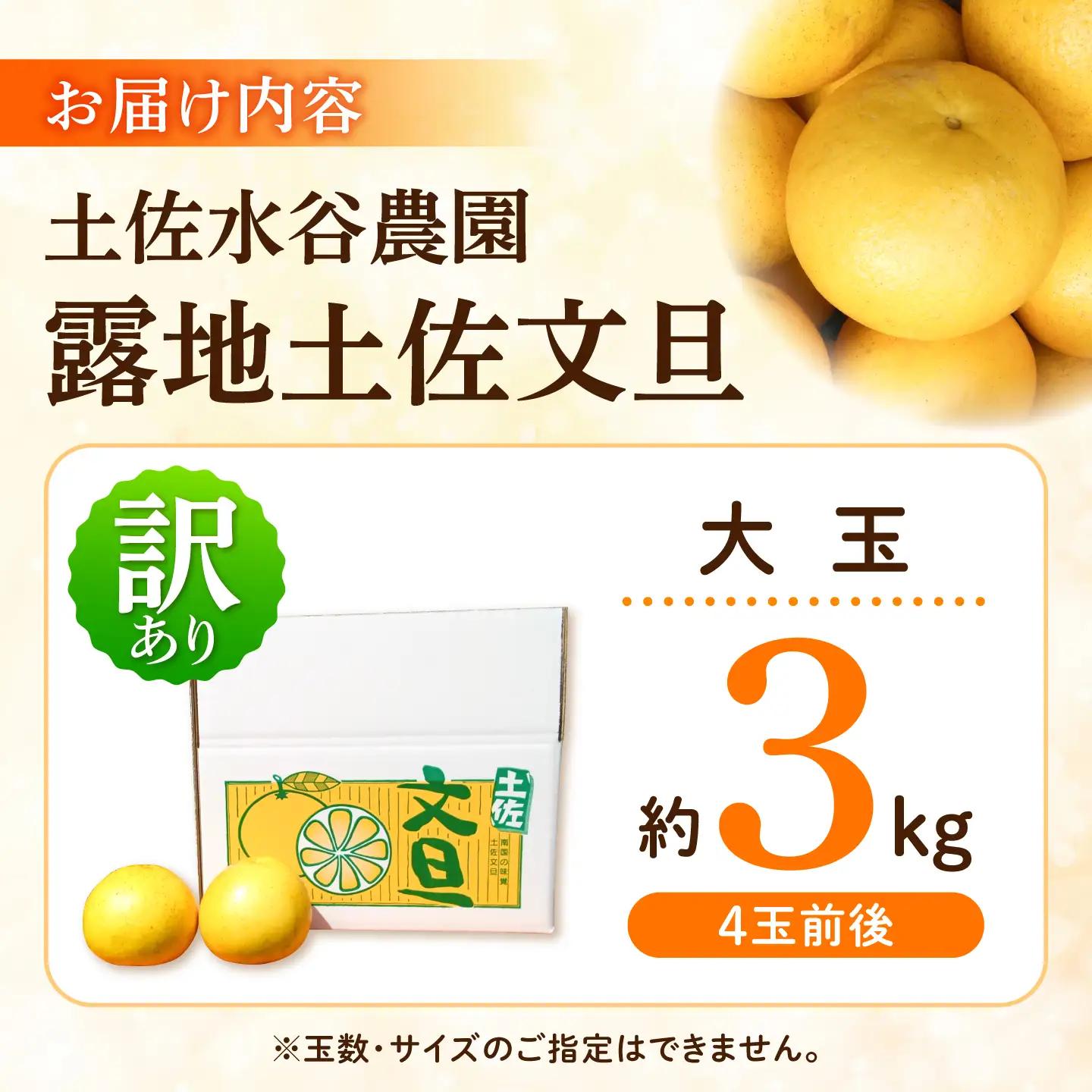 【先行予約】文旦 家庭用大玉 3キロ 3kg（3L〜上限なし：4玉前後）〈2027年1月20日から発送〉皮むき器付き 高知県土佐市 【土佐水谷農園】 [BQBD007]
