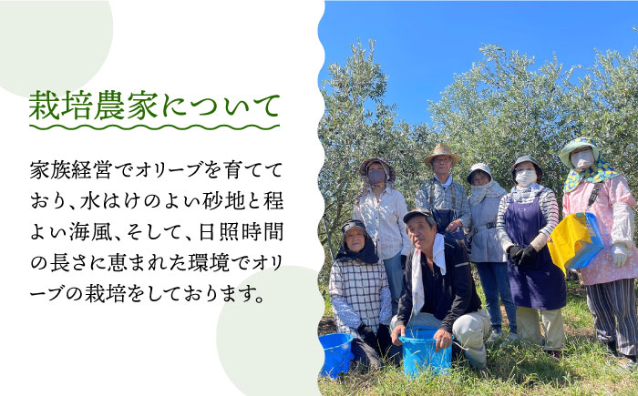 【2024年11月〜発送】【3回定期便】 原城 オリーブ エクストラ・ヴァージンオイル  100ml 1本 / オリーブオイル オイル 油 調味料 / 南島原市 / ミナサポ [SCW054]