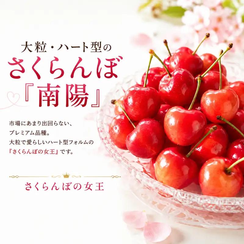 さくらんぼ 360g 南陽 Lサイズ以上 サクランボ