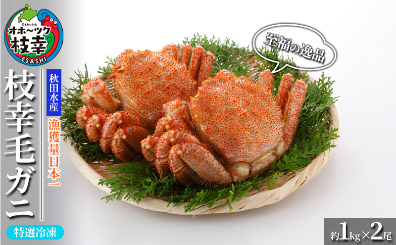 
            【漁獲量日本一】至福の逸品！特選冷凍「枝幸毛がに」約1kg×2尾 毛蟹 毛ガニ オホーツク 北海道
          