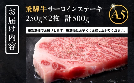 【11月発送】飛騨牛 サーロインステーキ (A5ランク) 1パック (250g×2枚) / 飛騨牛 サーロイン ステーキ A5ランク 和牛 国産 霜降り 高級肉 ブランド牛 肉 牛肉 / 恵那市 / 