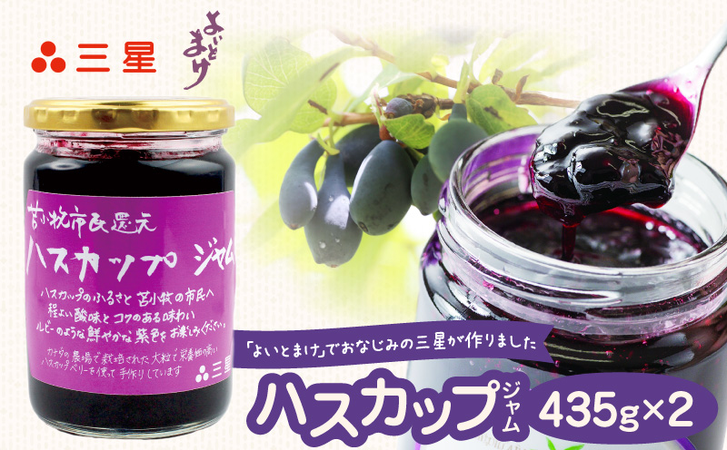 カナダ産 苫小牧市民還元 ハスカップジャム 435g（2瓶）　T044-017-02