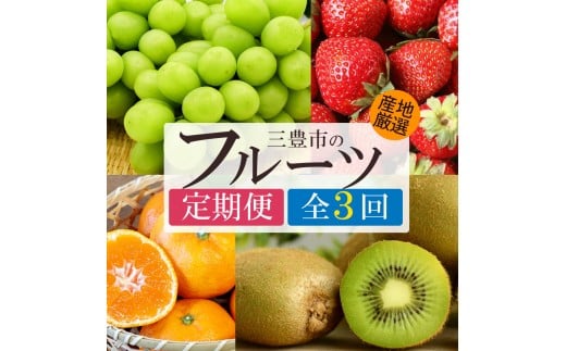 定期便 全3回 シャインマスカット さぬき姫 旬のフルーツ グリーンキウイ [ フルーツ定期便 果物定期便 定期配送 国産フルーツ 旬フルーツ 産地直送 食べ比べ 家庭用 ギフト お取り寄せ フルーツセット 香川県 三豊市 キウイ ]