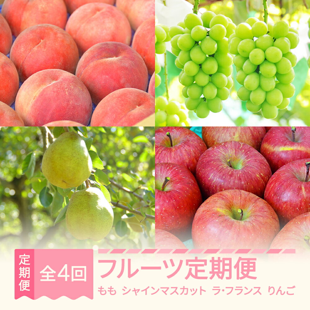 【ふるさと納税】【先行予約】フルーツ定期便全4回 川中島 シャインマスカット ラ・フランス サンふじ 2026年産 山形県産 ja-ft4xx