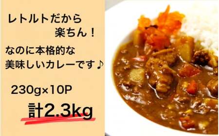 1793R_肉屋のまかない豊後牛カレー2.3kg（230g×10P）