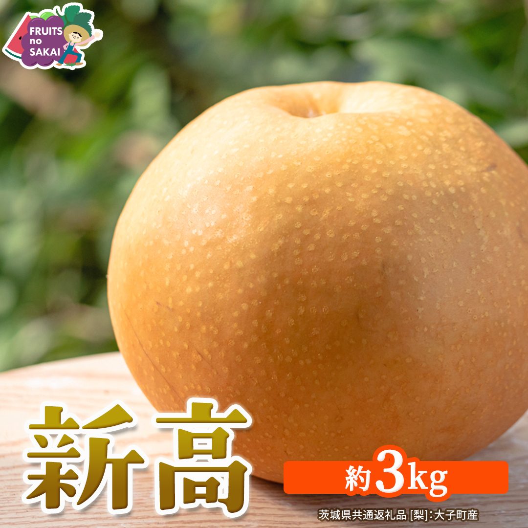 新高 約3kg 【2026年10月より発送開始】（茨城県共通返礼品 [梨]：大子町産） 高糖度 ギフト 贈り物 プレゼント フルーツ なし ナシ 和梨  梨 果実 旬のフルーツ お取り寄せ くだもの 
