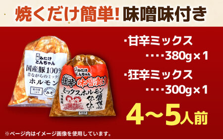 「元祖みたけとんちゃん」ミックスホルモン 2種セット（4人前）[AVAA050]ホルモン おかず