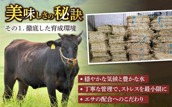 佐賀牛 和牛 国産牛 ロース モモ カタ バラ 個包装 小分け