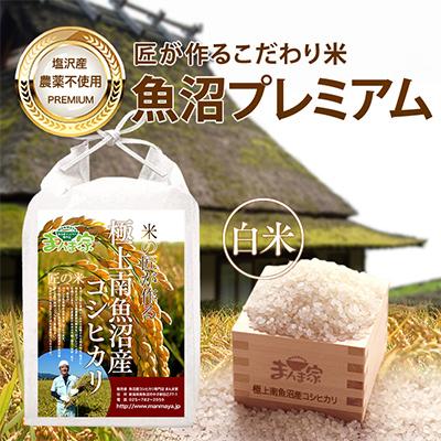 ふるさと納税 南魚沼市 【毎月定期便】特別栽培米「南魚沼産コシヒカリ」(栽培期間中農薬・化学肥料不使用)白米10kg 全3回