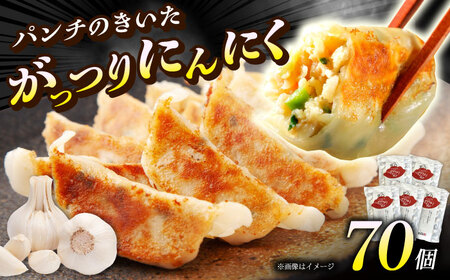 【お中元対象】【5パック】餃子屋ヒロの がっつりにんにく餃子【餃子屋ヒロ】開成町 餃子 点心 惣菜 冷凍[BDAS004-3]