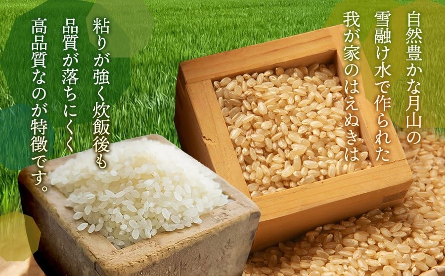 【令和8年産先行予約】 はえぬき（庄内米） 精米　5kg×1袋　農家 長四郎