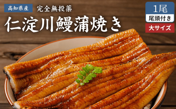 
            完全無投薬 仁淀川の伏流水で育てた贅沢うなぎ蒲焼き 大 (約200g×1尾) ギフトセット 池澤鮮魚 【池澤鮮魚オンラインショップ】 [ATBE007]
          