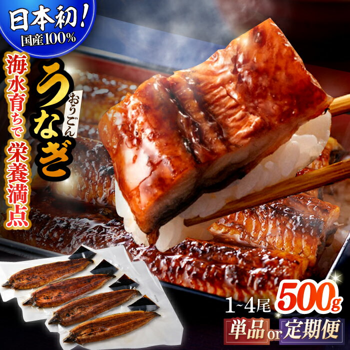 【ふるさと納税】【選べる回数】【単品 定期便 選べる】【日本初！海水で養殖】長崎県産おうごんうなぎ 約500g（1尾〜4尾）平戸市 / 松永水産 [KAB111] うなぎ 鰻 ウナギ 蒲焼