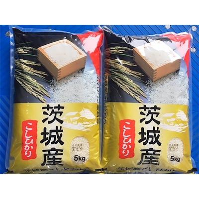 ふるさと納税 稲敷市 【令和7年産】代表的なお米　茨城県産コシヒカリ10kg |  | 01
