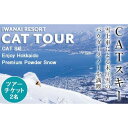 【ふるさと納税】IWANAI RESORT【Cat tour】ticket ペア利用 キャットツアー スキー スノーボート スノボー ウインタースポーツ アウトドア リゾート 2名様 F21H-357