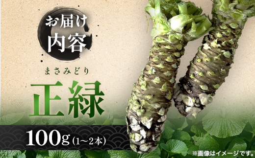 那賀わさび (正緑) 約100ｇ 1～2本 【徳島県 那賀町 生産者直送 産地直送 本わさび わさび ワサビ 生わさび 山葵 野菜 香味野菜 国産 正緑 薬味 調味料 万能 新鮮】FN-01