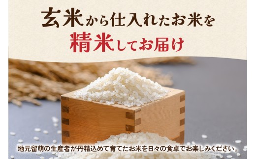 【新米予約】令和8年産 ななつぼし 無洗米 5kg 北海道 留萌管内産 R004-165