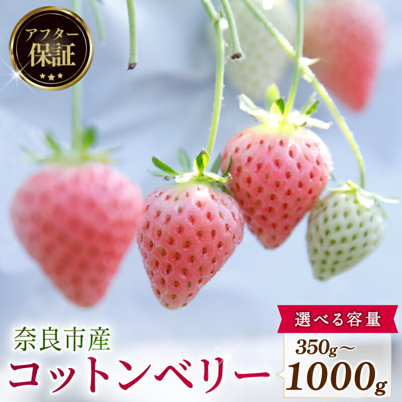 【ふるさと納税】 いちご 先行予約 数量限定 コットンベリー 約500g 約250g × 2P 約1000g 約250g × 4P 約350g 新鮮 産地直送 厳選 2027年発送 旬 ブランド イチゴ 苺 フルーツ 果物 くだもの 国産 限定 ベリー 贈答用 デザート スイーツ 季節 特産品 奈良市 奈良県