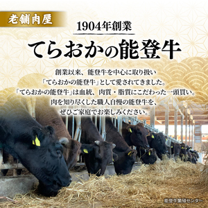 能登牛すじ肉 生 500g 能登牛 牛すじ肉