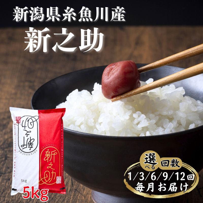 【ふるさと納税】米 新米【令和7年産 新米】選べる定期便 新潟県産 新之助5kg×(1回/3回/6回/9回/12回)毎月お届け 新潟県糸魚川産 農家直送便 2025年 白米 しんのすけ 磯貝農場 ご飯 食品 人気 おすすめ 新潟の新ブランド米 農家直送 精米 選べる 回数