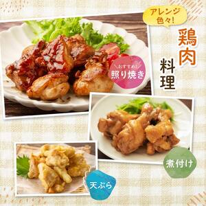 【定期便・12回】産地直送！恵那どり お試し4種8パックセット 小分け 真空パック 大容量 セット 鶏肉 F4N-2470