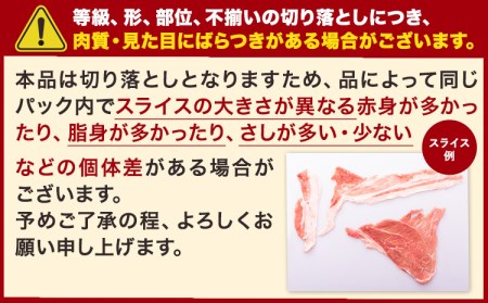【6ヶ月定期便】 豚肉 うまかポーク 切り落とし&ミンチ ハーフセット 3.6kg 《申し込み翌月から発送》 