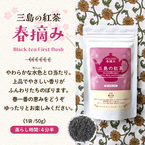 リーフ紅茶 2種 飲み比べセット 90g（40g＋50g） 国産 栽培期間中 農薬不使用 紅茶