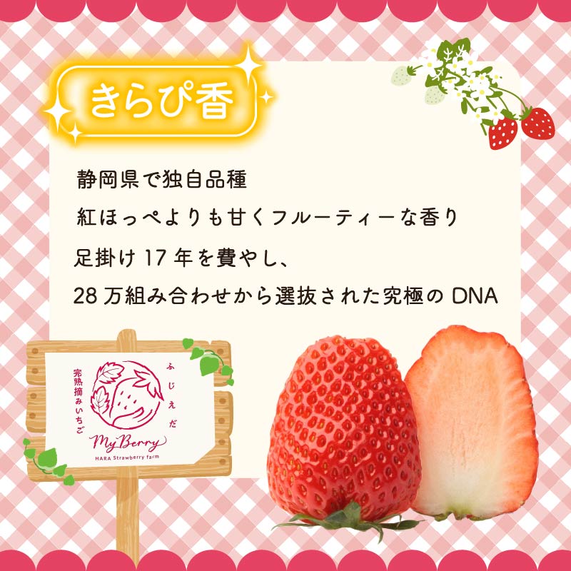 【先行予約 : 2026年3月～2026年5月発送予定 】 いちご きらぴ香 約1kg 約250g×4パック 朝どれ 完熟 苺 産地 直送 フレッシュ イチゴ 贈答 フルーツ 果物 国産 静岡県 藤枝市 ふるさと人気
