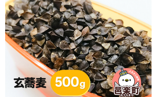 
玄蕎麦 500g×1袋 サイトウ・コーポレーション 飼料
