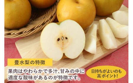 【数量限定 / 夏季限定】 梨（豊水） 約5kg 梨 なし ナシ 日本梨 ほうすい ホウスイ 17-D 【8月下旬～9月上旬発送予定】