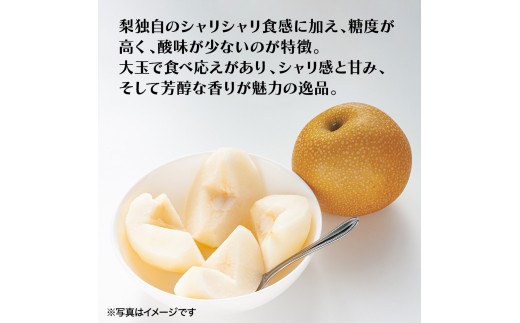 恵水 約 3kg 4～6玉 (茨城県共通返礼品:かすみがうら市) 2026年 マスカット ぶどう 葡萄 ブドウ フルーツ 果物 くだもの 旬 食べ比べ セット 詰め合わせ 国産 産地直送 ギフト 贈答