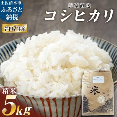 ふるさと納税 土佐清水市 農家直送　令和7年産　コシヒカリ　精米　5キロ　白米  コシヒカリ 高知県産【R01508】