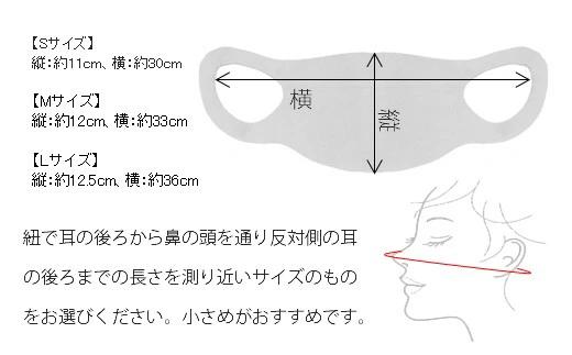 夏用 マスク 30回洗って使える エボロンの不織布マスク 10枚入り（Lホワイト）016138