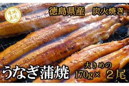 徳島県産　うなぎ蒲焼　こだわりの炭火焼　大きめ2尾（170ｇ×2尾）