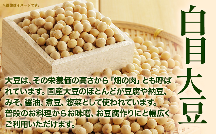 令和5年度産 北海道十勝 本別町産 白目大豆8kg(4kg×2袋) 《60日以内に出荷予定(土日祝除く)》本別町農業協同組合 送料無料 北海道 本別町